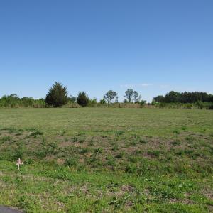 Marshall Landing lot 4 Scot Lerew real e