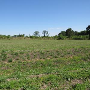 Marshall Landing Lot 5 Scot Lerew real e