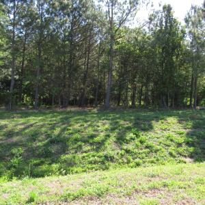 Marshall Landing lot 8 Scot Lerew real e