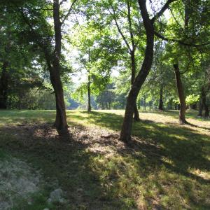 IMG_3620