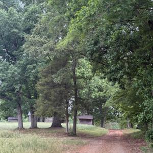 land2