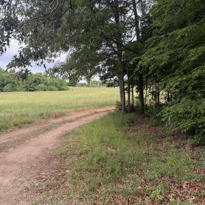 land 1