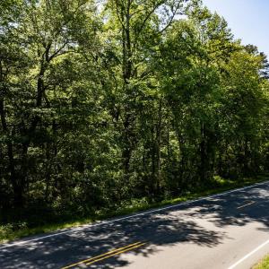 NC 87 (parcel 104826)-9