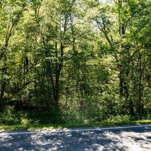 NC 87 (parcel 104826)-10