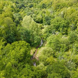 8-web-or-mls-DJI_20260501113935_0597_D