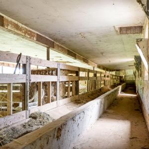 43-web-or-mls-IMG_1021