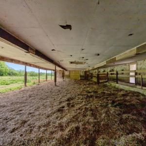 45-web-or-mls-IMG_1024