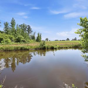 11-web-or-mls-IMG_3383