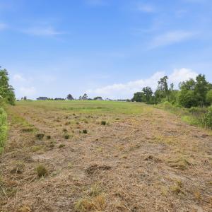 12-web-or-mls-IMG_3386