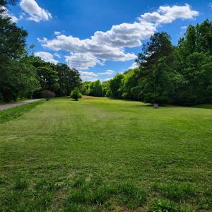 Build Your Private Forest Estate!