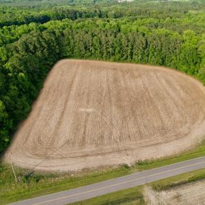 Drone view East