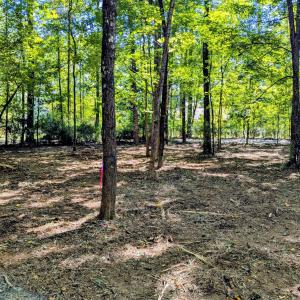 Photo #4 of Lot 1 Blueberry, Chapel Hill, NC 6.7 acres