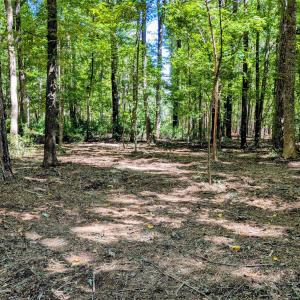 Photo #5 of Lot 1 Blueberry, Chapel Hill, NC 6.7 acres