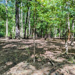 Photo #3 of Lot 1 Blueberry, Chapel Hill, NC 6.7 acres