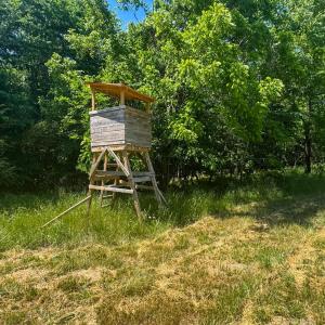 LOT 898100559527-Drone-16