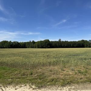Site Photo 1