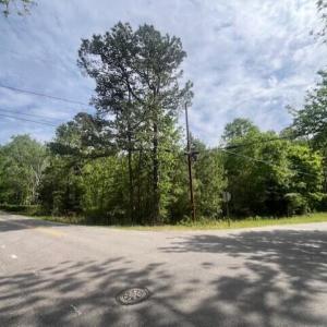 The SW Corner of the primary land