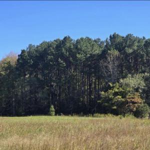 Best hillsborough land realtor