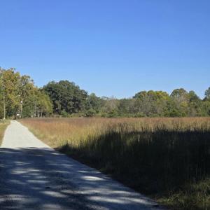 Best hillsborough land realtor