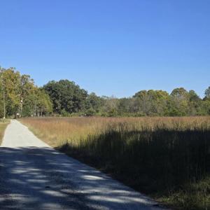 Best hillsborough land realtor