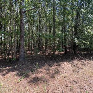 0 Jaback Wooded area