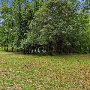 3_photo_03