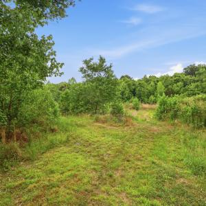 5_photo_05