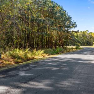 14-web-or-mls-IMG_4515
