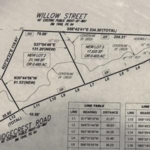 Willow Survey