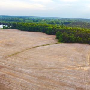 dji_fly_20260521_191018_217_177940508530