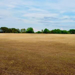 dji_fly_20260521_184600_215_177940508530
