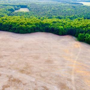 dji_fly_20260521_183732_213_177940309542