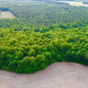 dji_fly_20260521_183648_212_177940305555