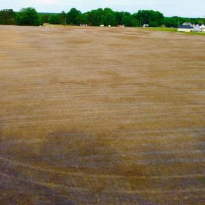 dji_fly_20260521_183458_209_177940293766