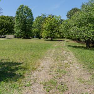 DSC00087