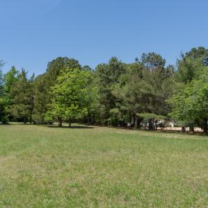 DSC00084