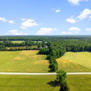 DJI_20260518162333_0980_D