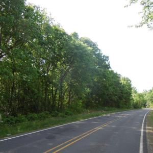 DSCN0503