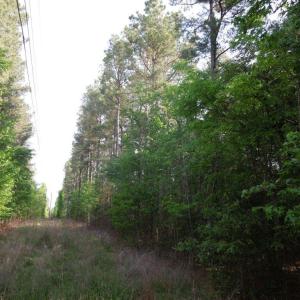 DSCN0475