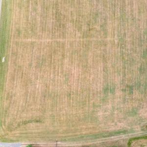 6-web-or-mls-DJI_0817