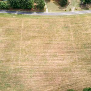 5-web-or-mls-DJI_0827