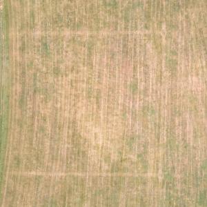 4-web-or-mls-DJI_0822
