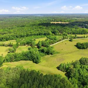 Aerial View #8