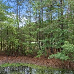 7129 Trappers Court, Zebulon