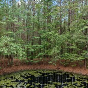7129 Trappers Court, Zebulon