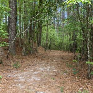 7129 Trappers Court, Zebulon