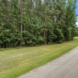 7129 Trappers Court, Zebulon