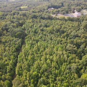 DJI_0836