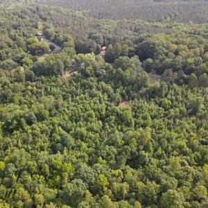 DJI_0838