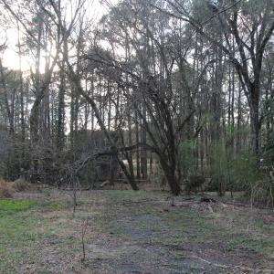 IMG_8012 - Copy